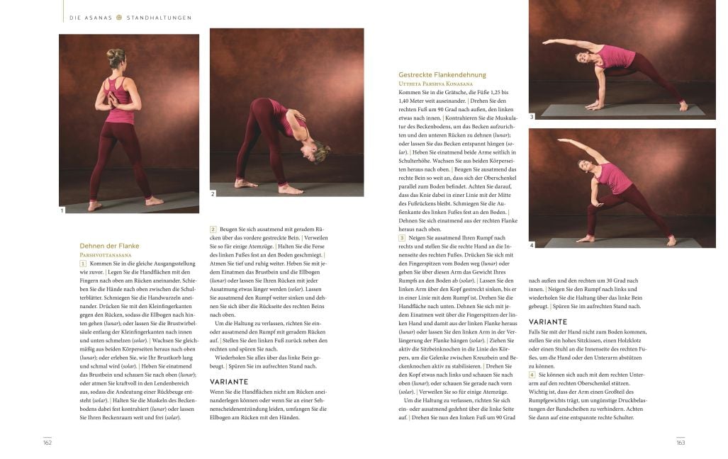 InsideView 7