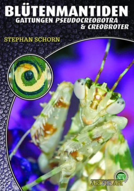 Blütenmantiden (Gattungen Pseudocreobotra & Creobroter), - Stephan Schorn