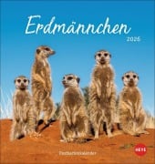 Erdmännchen Postkartenkalender 2026 - 