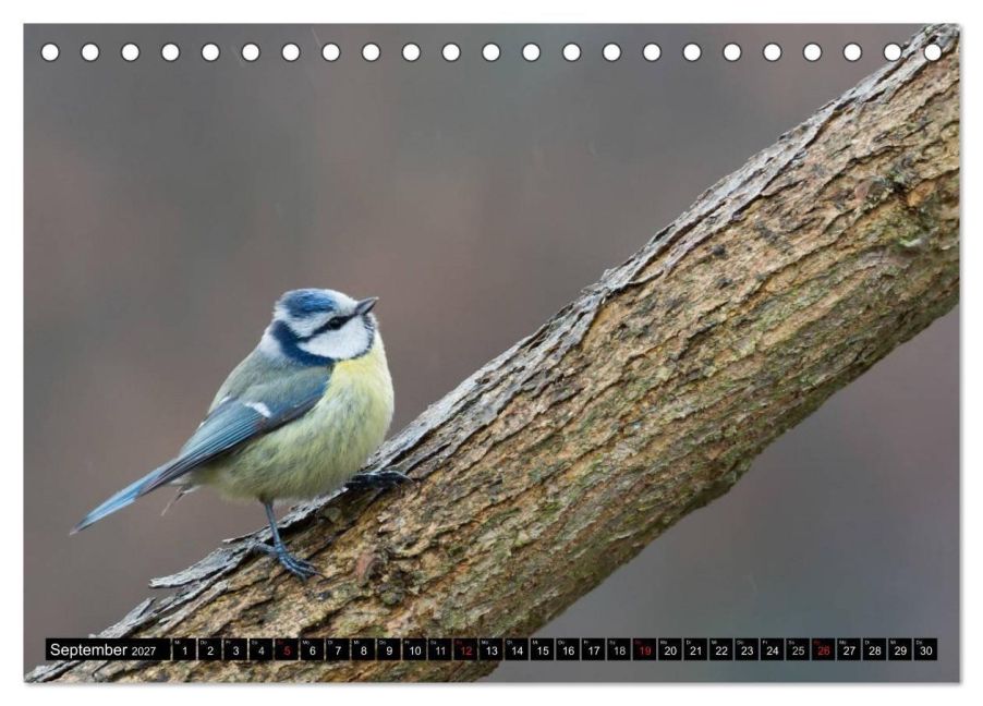 InsideView 14