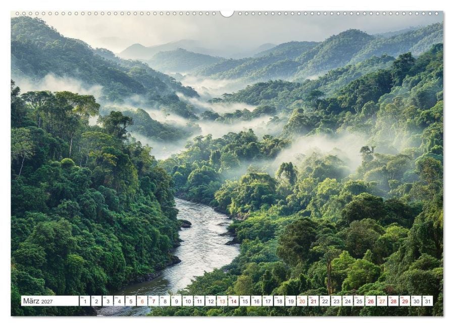 InsideView 8