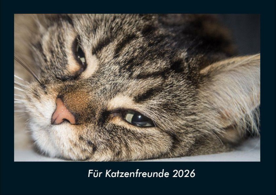 Für Katzenfreunde 2026 Fotokalender DIN A4 - Tobias Becker