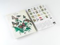 Cover-Bild zum Titel 'Natural History' von 'Pepin Van Roojen'