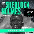 Sherlock Holmes: Schätze aus Übersee - Arthur Conan Doyle, Augusta Hawthorne
