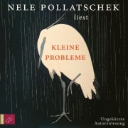 Cover-Bild zum Titel 'Kleine Probleme' von 'Nele Pollatschek'