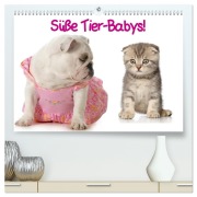 Süße Tier-Babys! (hochwertiger Premium Wandkalender 2026 DIN A2 quer), Kunstdruck in Hochglanz - Elisabeth Stanzer