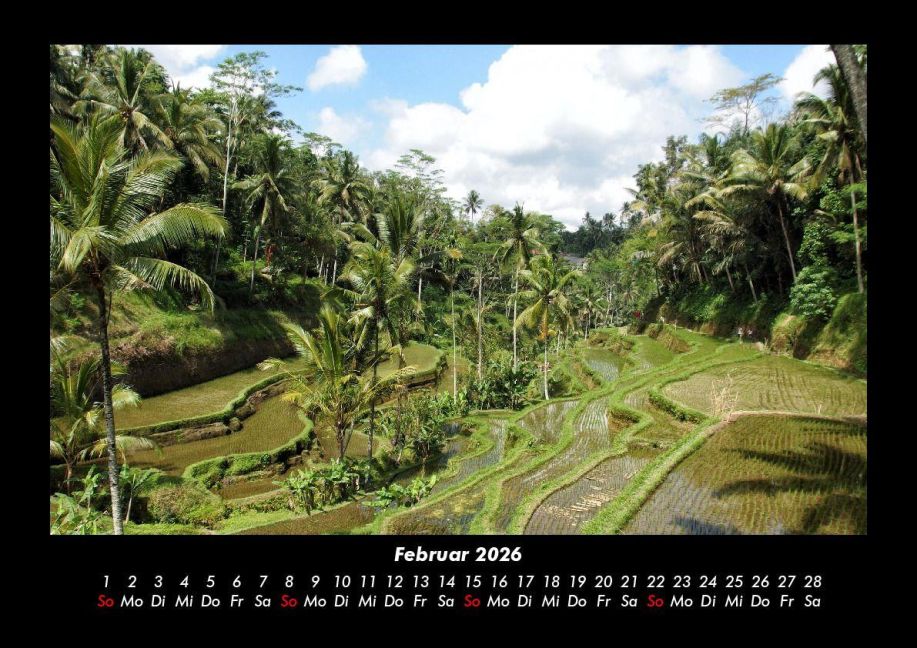 InsideView 6