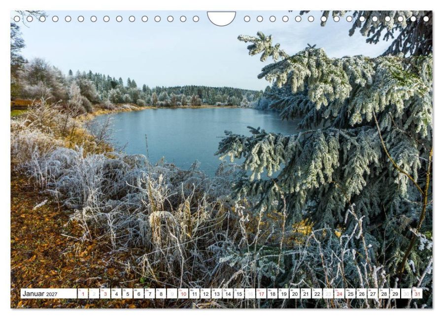 InsideView 6