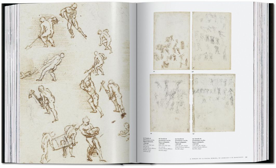 InsideView 13