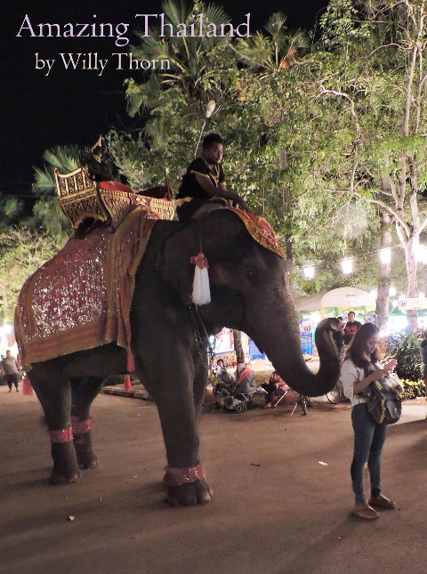 Amazing Thailand - Willy Thorn