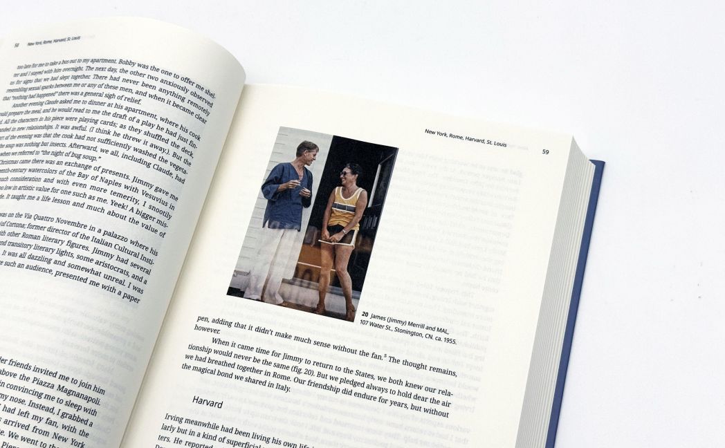 InsideView 6