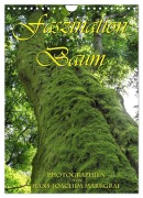 Cover-Bild zum Titel 'Faszination Baum (Wandkalender 2027 DIN A4 hoch), CALVENDO Monatskalender' von 'Hans-Joachim Markgraf'