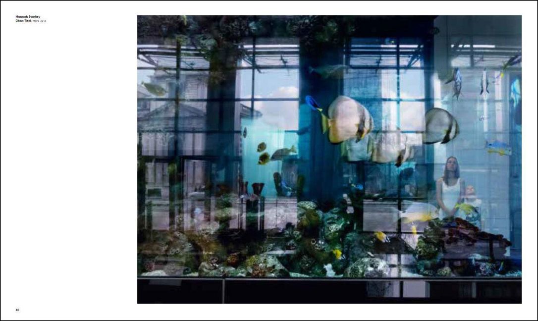 InsideView 6