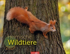 Cover-Bild zum Titel 'Heimische Wildtiere Kalender 2027' von ''