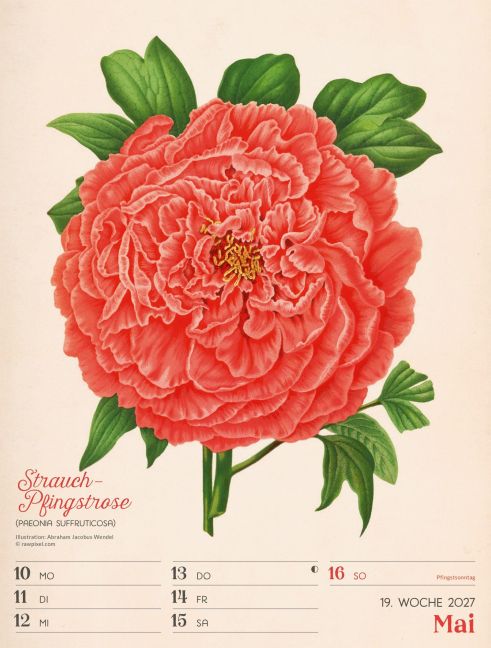 InsideView 23
