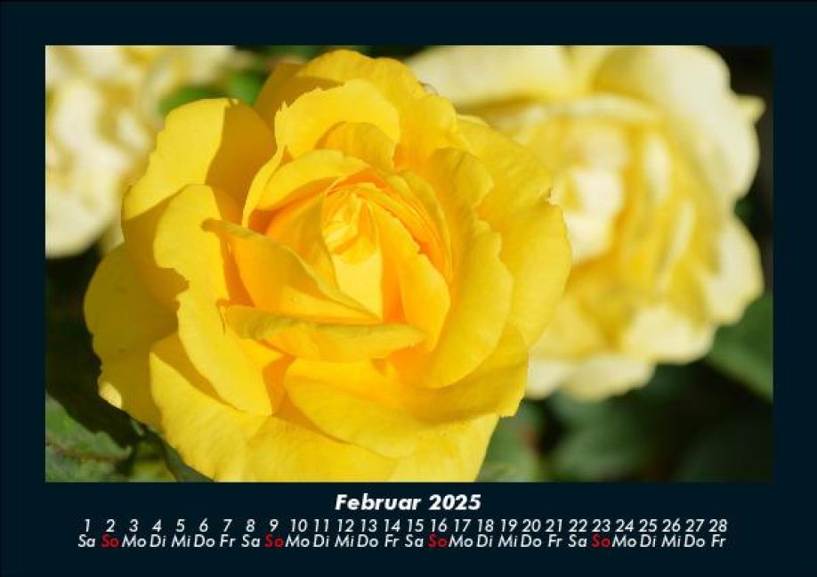 InsideView 6