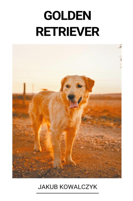 Golden Retriever - Jakub Kowalczyk