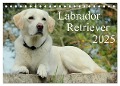 Labrador Retriever 2025 (Tischkalender 2025 DIN A5 quer), CALVENDO Monatskalender - Anita Schreuer