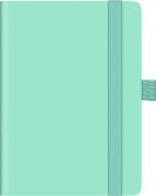 BRUNNEN 1073266526 | Taschenkalender Kompagnon Mod. 732 66 2026 | A6, Kunststoff, hellgrün - 