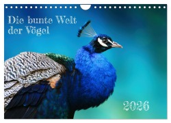 Cover-Bild zum Titel 'Die bunte Welt der Vögel (Wandkalender 2026 DIN A4 quer), CALVENDO Monatskalender' von 'Martina Fornal'