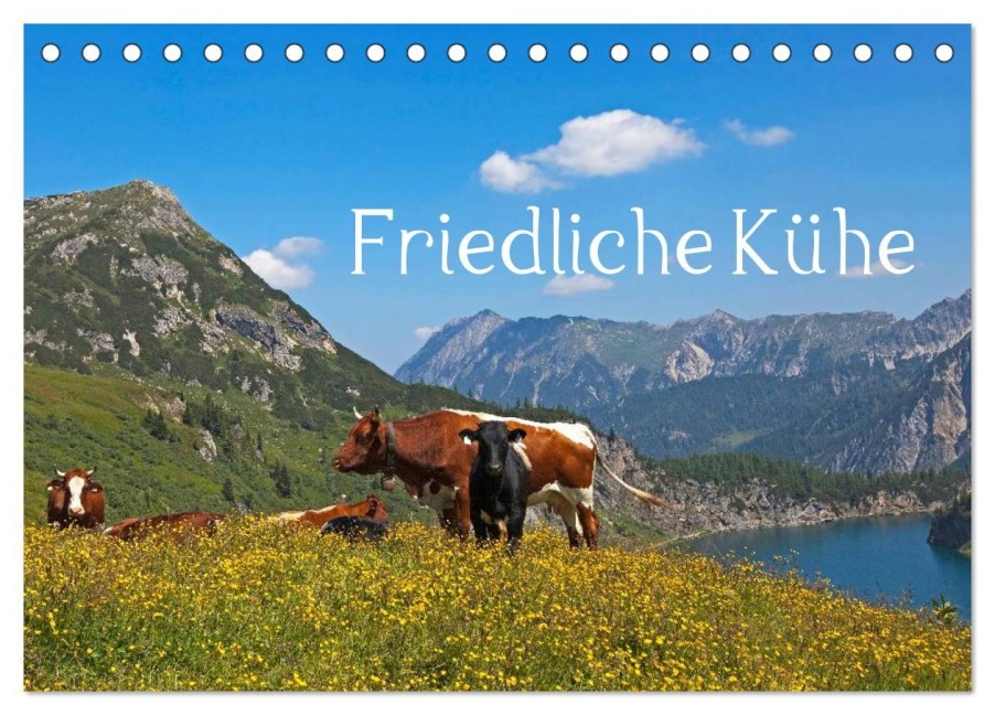 Friedliche Kühe (Tischkalender 2025 DIN A5 quer), CALVENDO Monatskalender - Christa Kramer