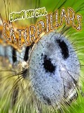 Cover-Bild zum Titel 'Creepy but Cool Caterpillars' von 'Tracy Nelson Maurer'