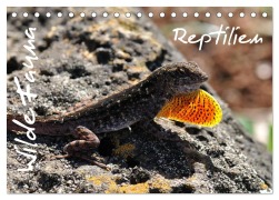 Cover-Bild zum Titel 'Wilde Fauna - Reptilien (Tischkalender 2026 DIN A5 quer), CALVENDO Monatskalender' von 'Uwe Bade Ralf Emmerich'