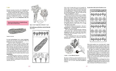 InsideView 5