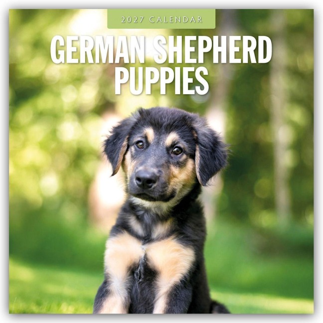German Shepherd Puppies - Deutsche Schäferhunde Welpen 2027 - 16-Monatskalender - Robin Red