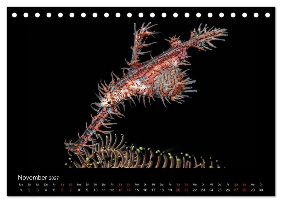 InsideView 3