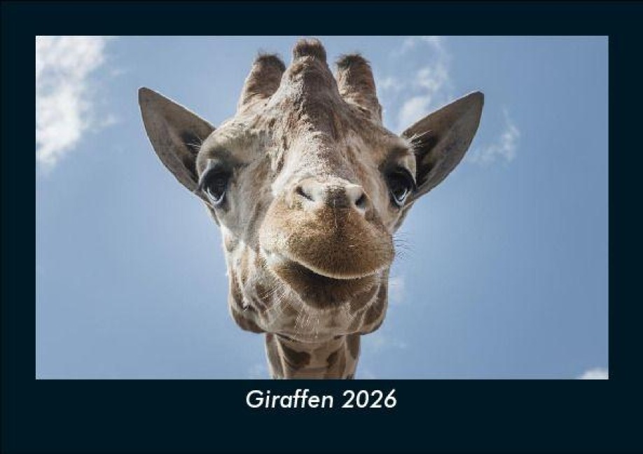 Giraffen 2026 Fotokalender DIN A5 - Tobias Becker