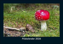 Cover-Bild zum Titel 'Pilzkalender 2026 Fotokalender DIN A5' von 'Tobias Becker'