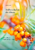 Cover-Bild zum Titel 'Heilbotschaften der Bäume' von 'Matthias Felder'