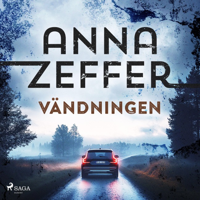 Vändningen - Anna Zeffer