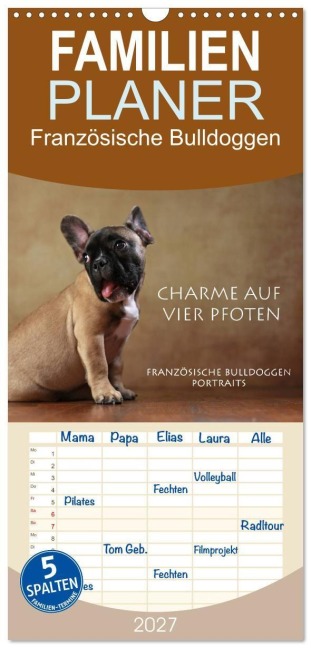 Familienplaner 2027 - Charme auf vier Pfoten - Französische Bulldoggen Portraits mit 5 Spalten (Wandkalender, 21 x 45 cm) CALVENDO - Jana Behr