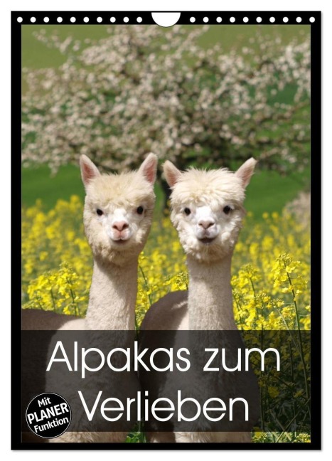Alpakas zum Verlieben (Wandkalender 2026 DIN A4 hoch), CALVENDO Monatskalender - Heidi Rentschler