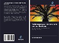 Cover-Bild zum Titel 'Politiecorruptie in het Irak van na Saddam' von 'Basim Hameed'