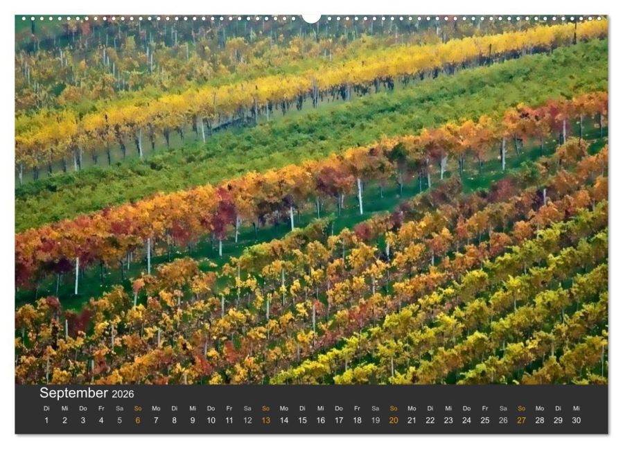 InsideView 13