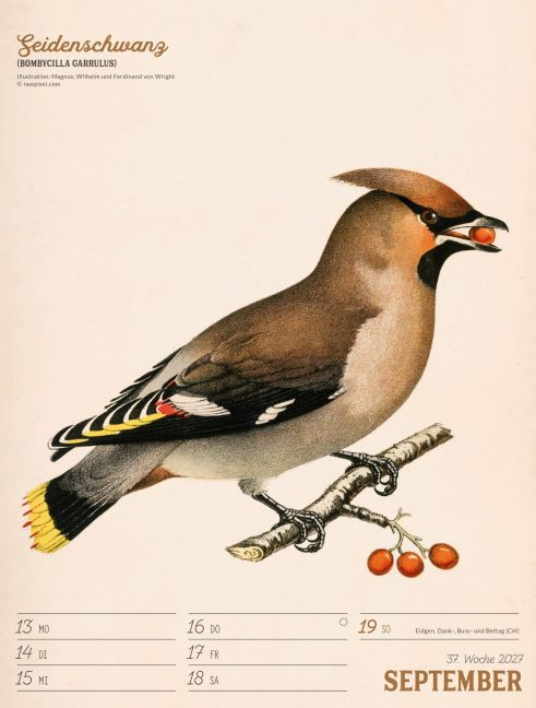 InsideView 41