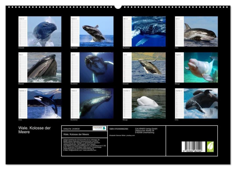 InsideView 4