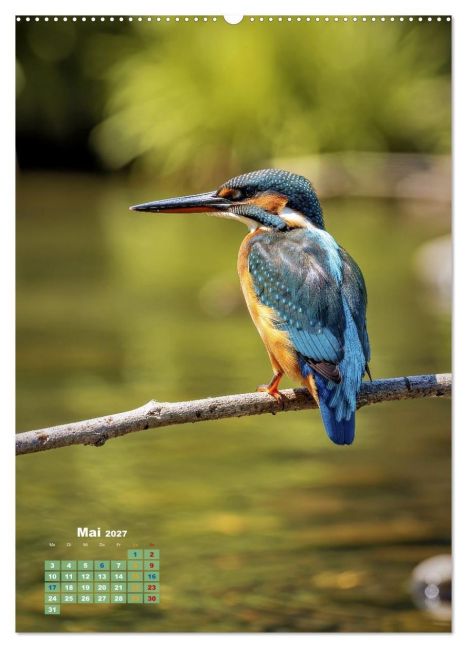 InsideView 10