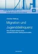 Cover-Bild zum Titel 'Migration und Jugenddelinquenz' von 'Christian Walburg'