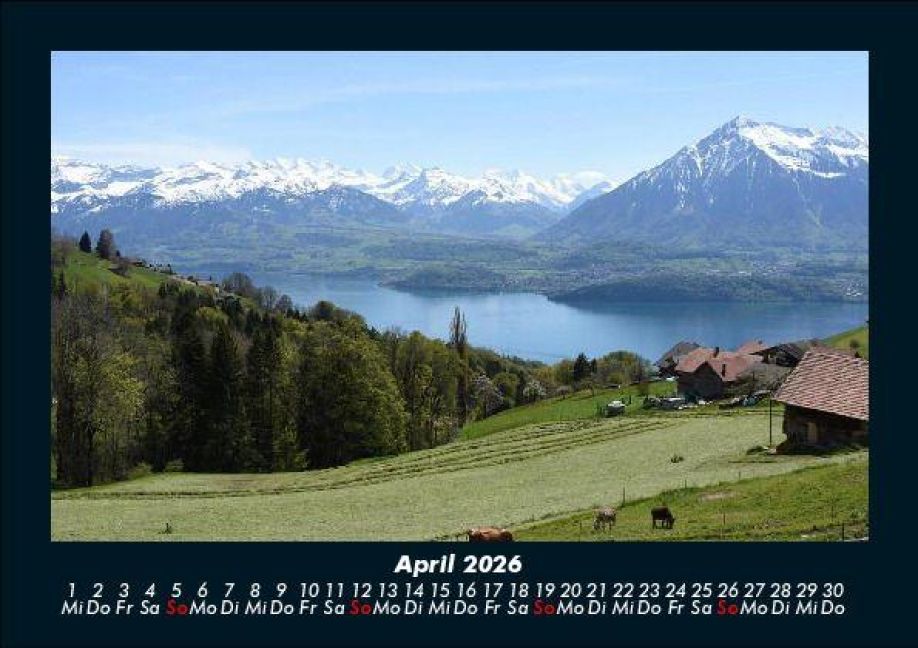 InsideView 8