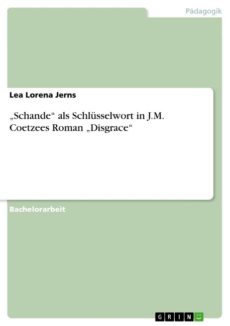 ¿Schande¿ als Schlüsselwort in J.M. Coetzees Roman ¿Disgrace¿ - Lea Lorena Jerns