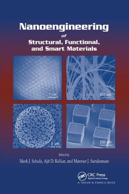 Nanoengineering of Structural, Functional and Smart Materials - 
