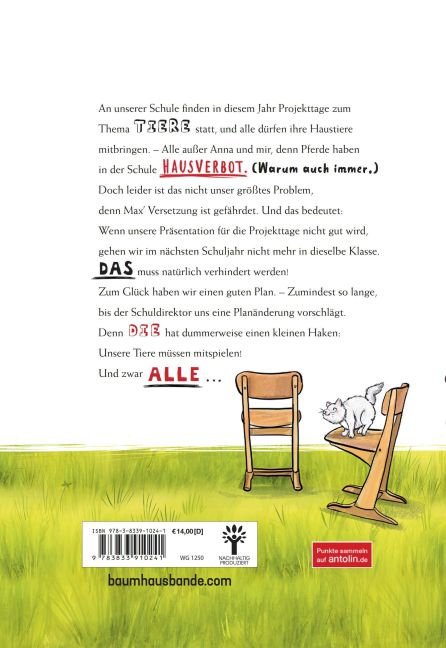 InsideView 13