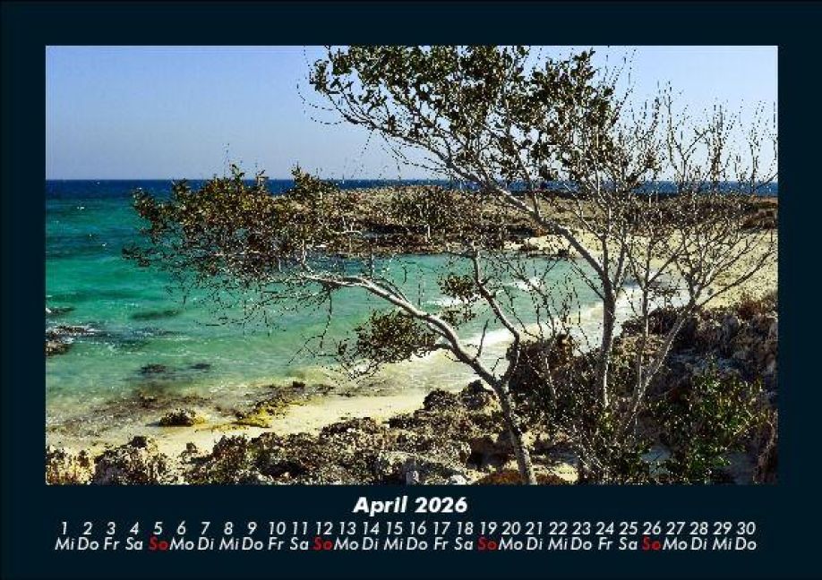 InsideView 8