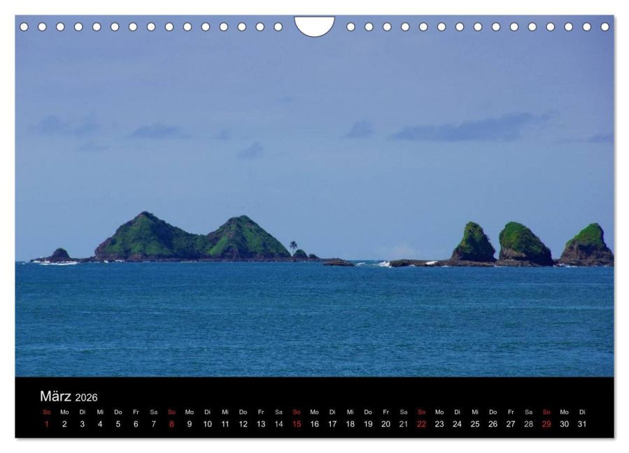 InsideView 8