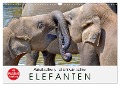 Asiatische und afrikanische Elefanten (Wandkalender 2025 DIN A3 quer), CALVENDO Monatskalender - Elisabeth Stanzer
