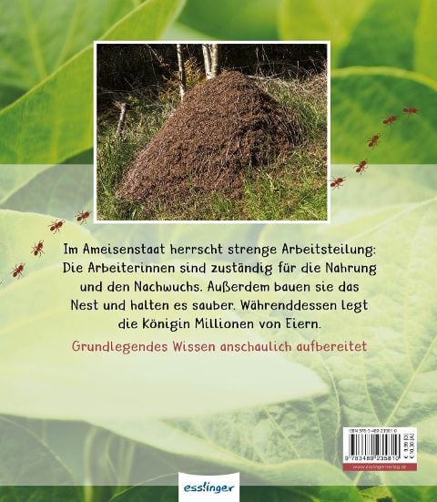 InsideView 6